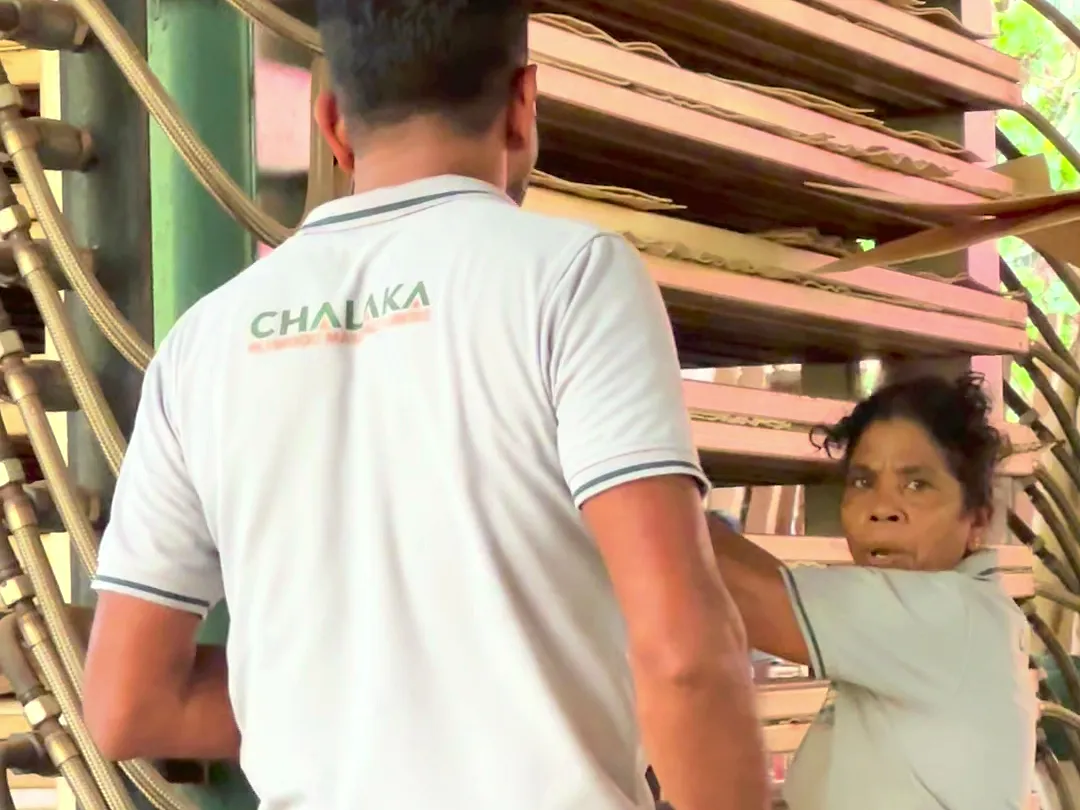 A Chalaka team member at the plywood press