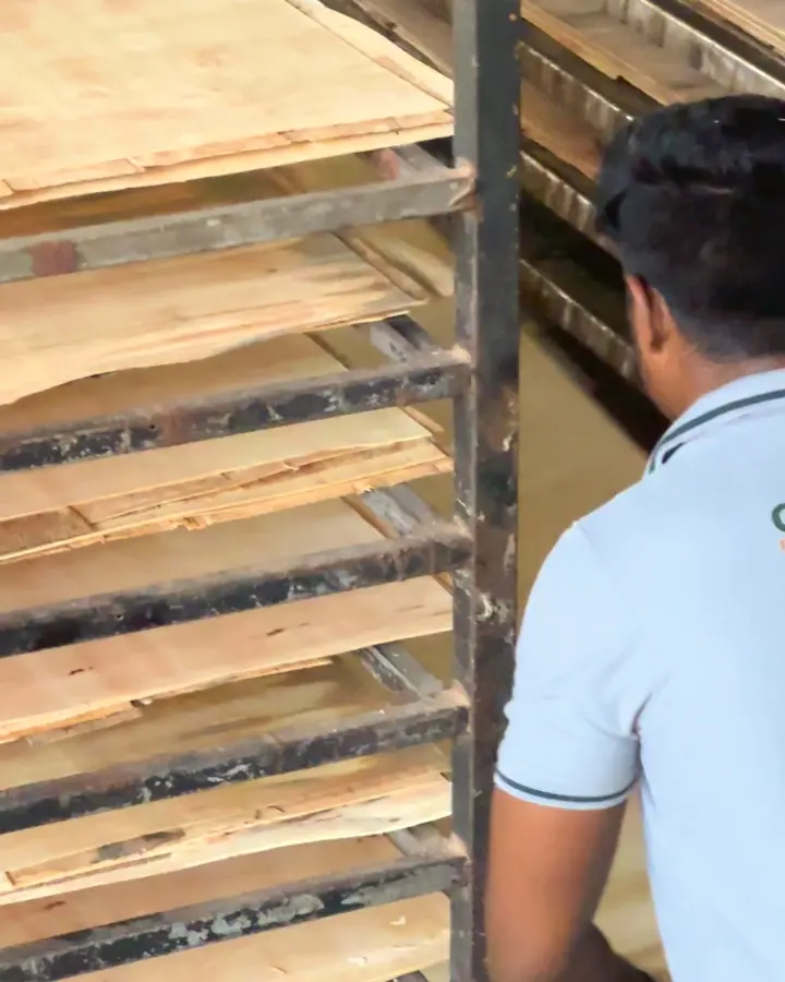 Veneer Drying, manufacturing step 4