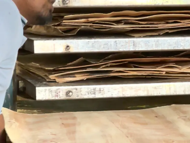 Plywood panels in the hot press