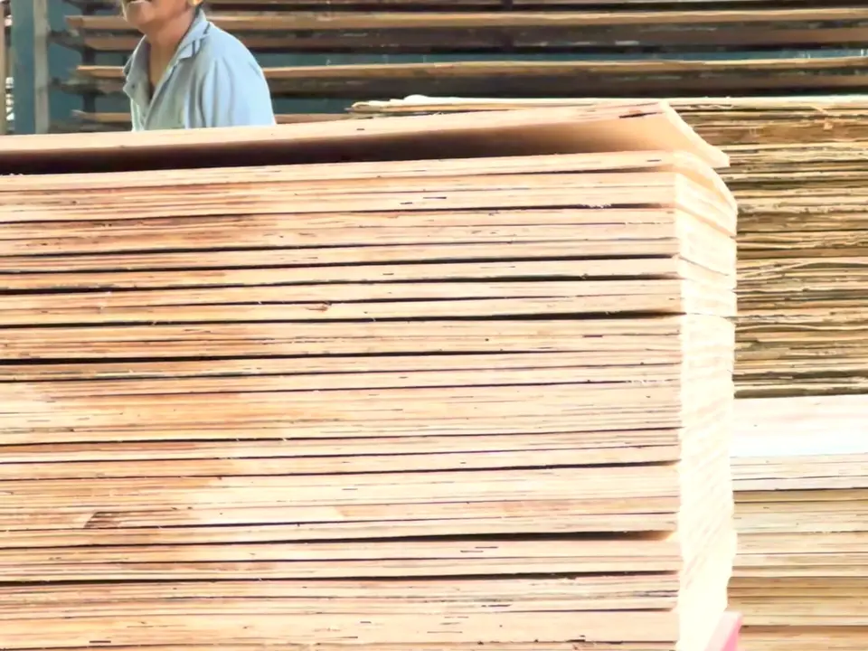 Dealer & Distributor Network at the Chalaka factory