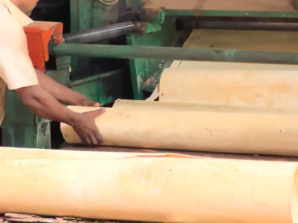 EV Face & Non-Face Options at the Chalaka factory