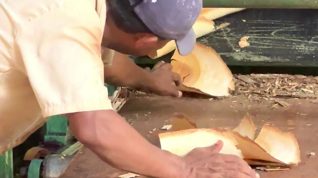 Hand patching veneer at the Chalaka factory