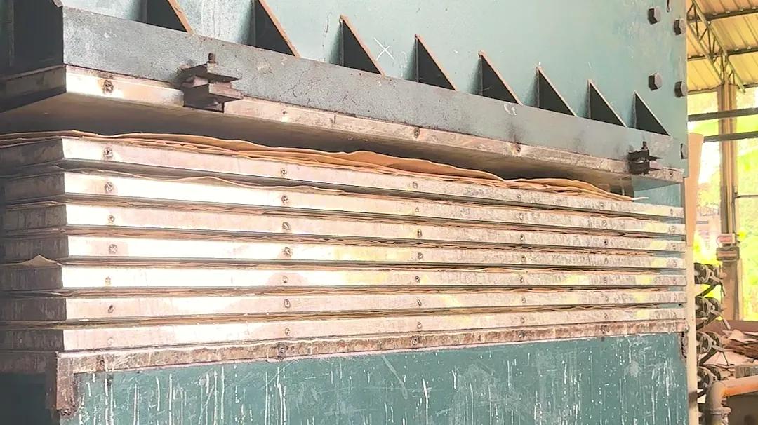 Multi-daylight hot press loaded with plywood